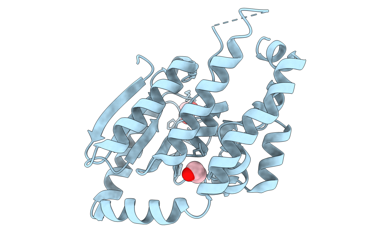 1HNO image