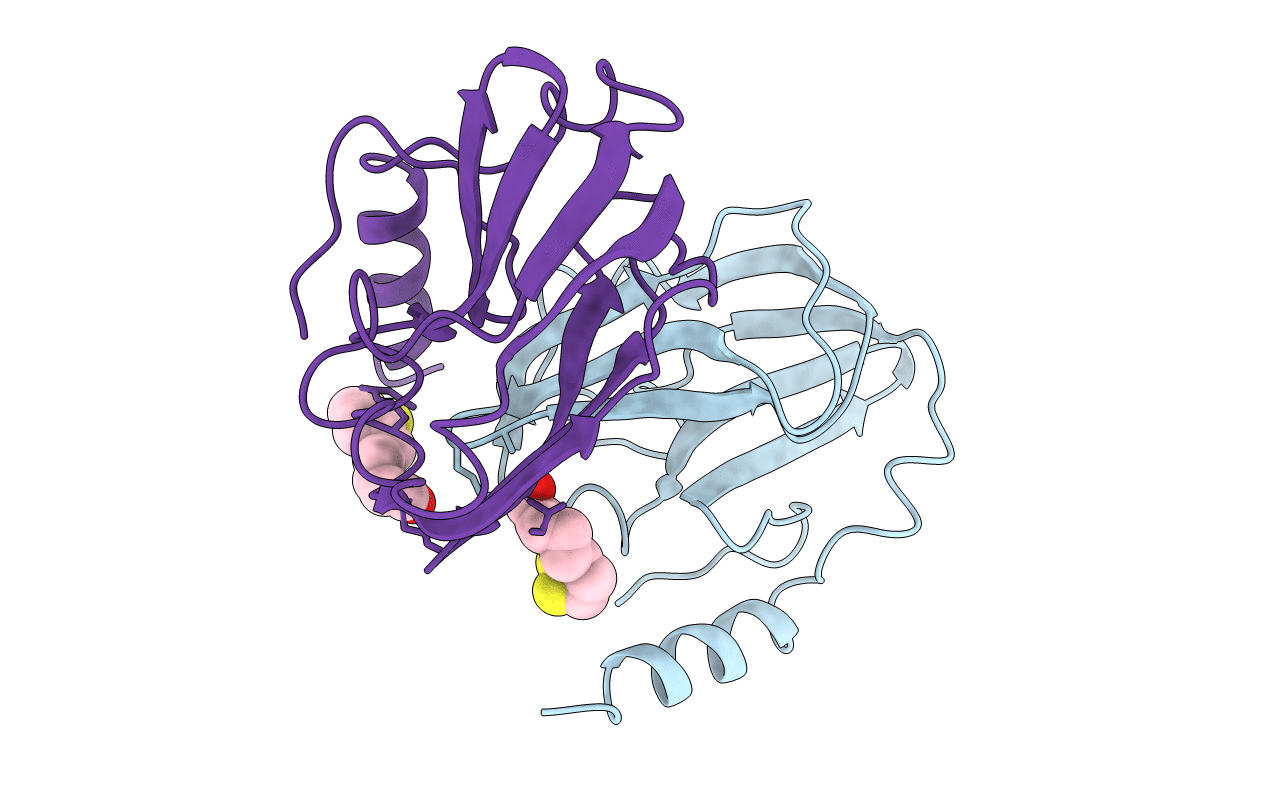 1HPC image