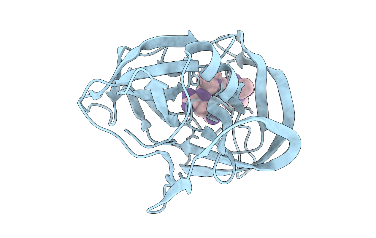 1HPG image