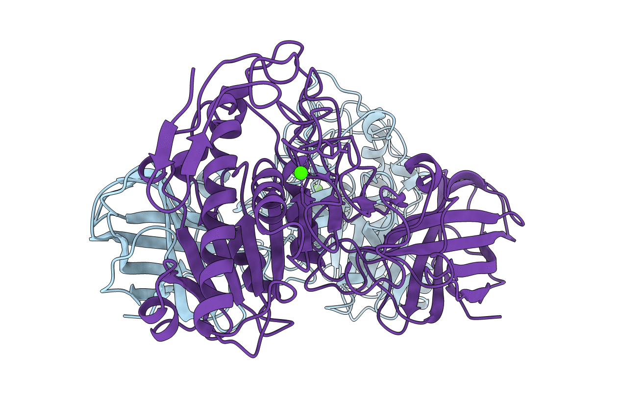 1HPL image