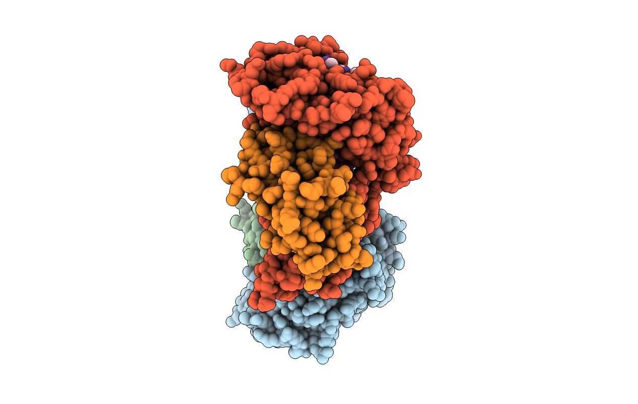 1HSA image