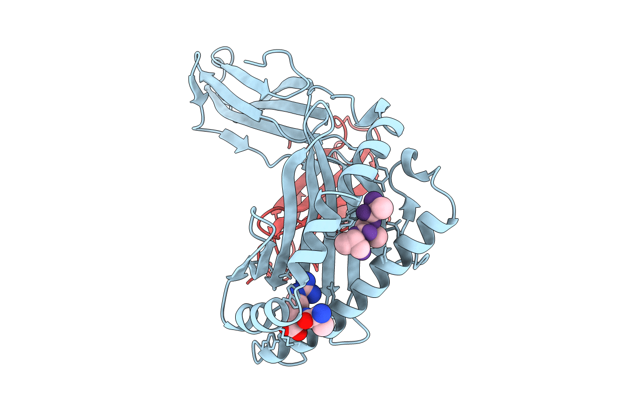 1HSB image