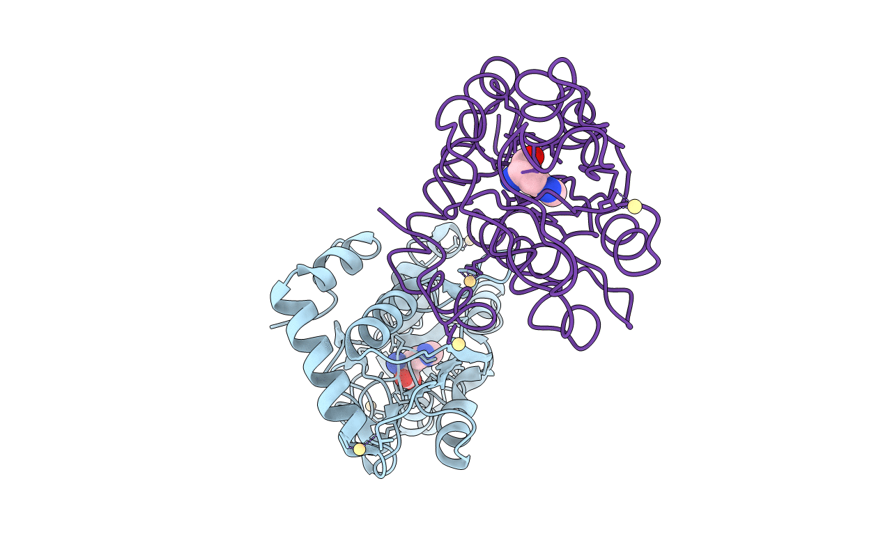 1HSL image