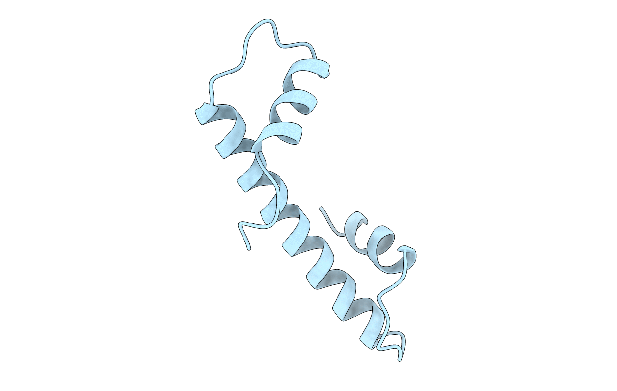 1HTA image
