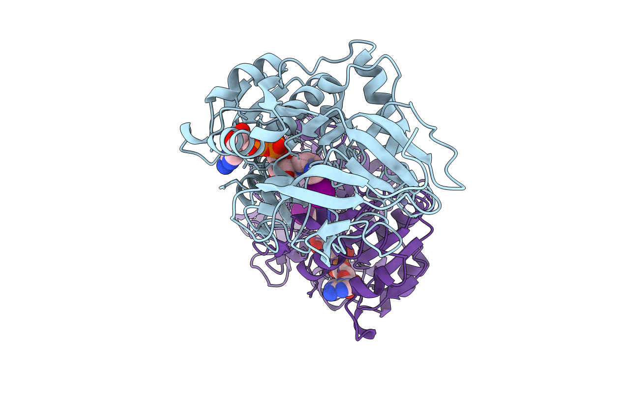 1HTB image