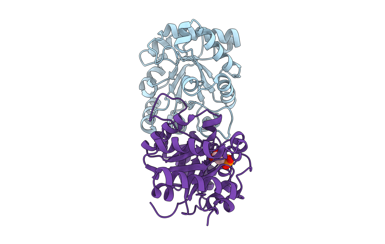 1HTI image
