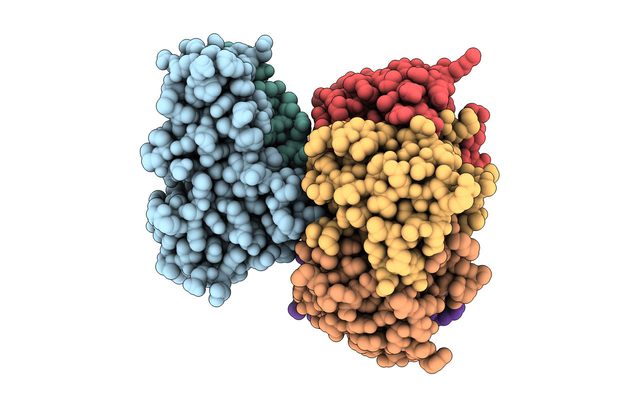 1HTL image