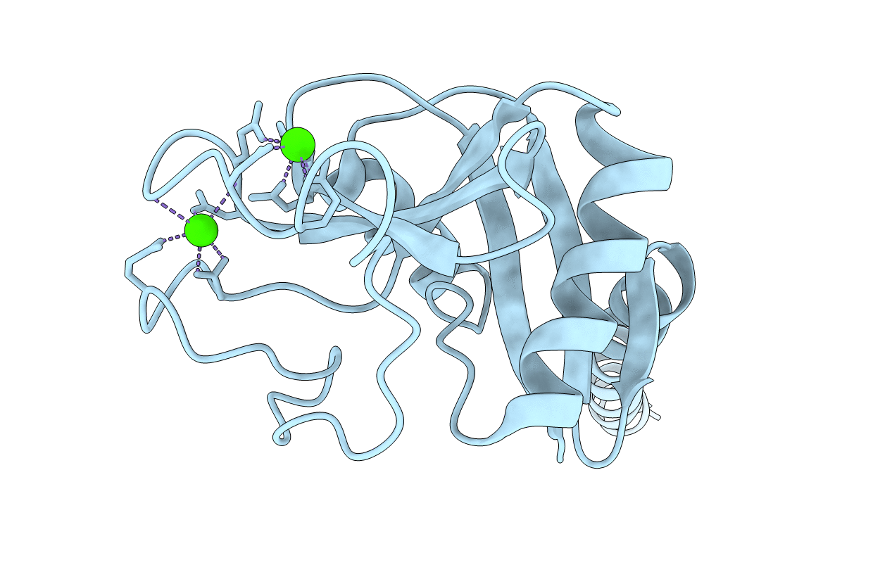 1HTN image