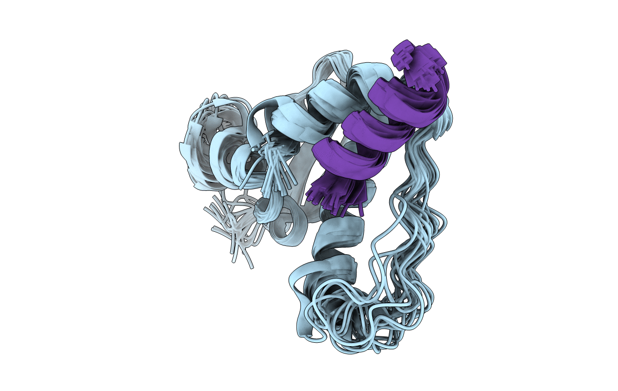 1HV2 image