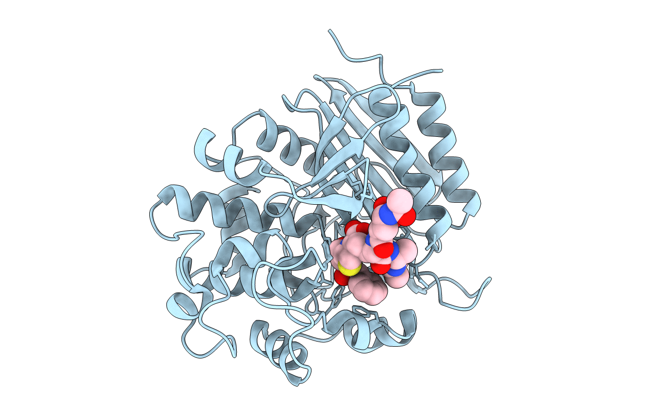 1HVB image