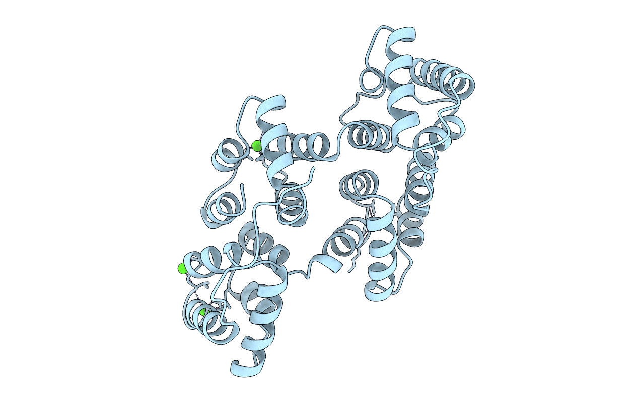 1HVD image