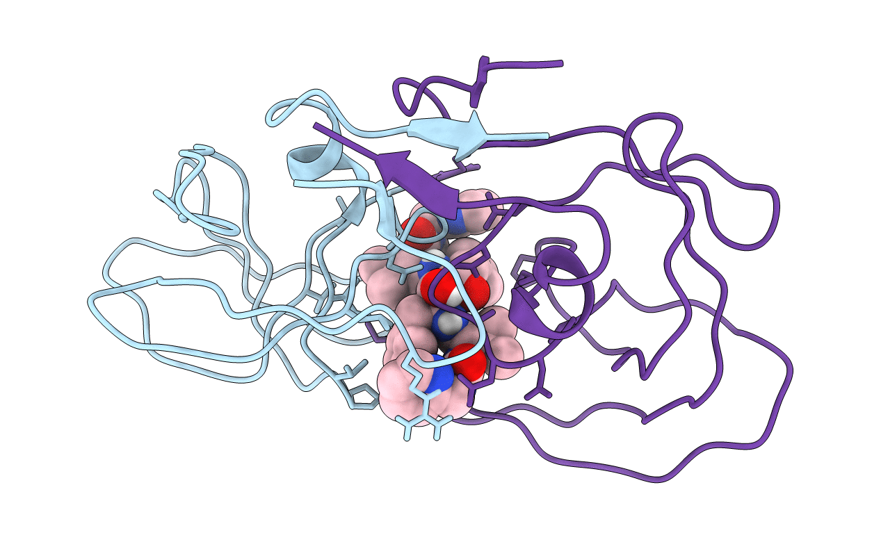 1HVI image