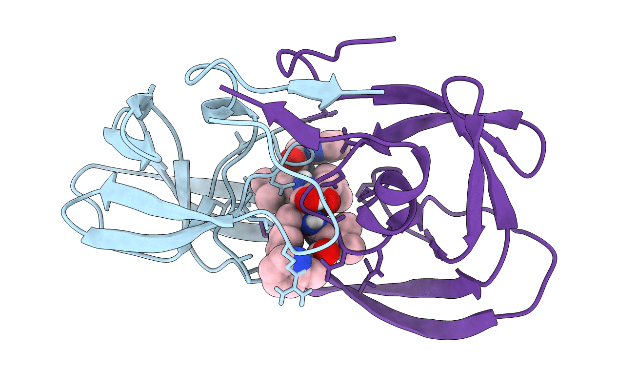 1HVS image
