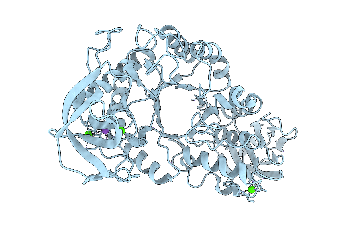 1HVX image