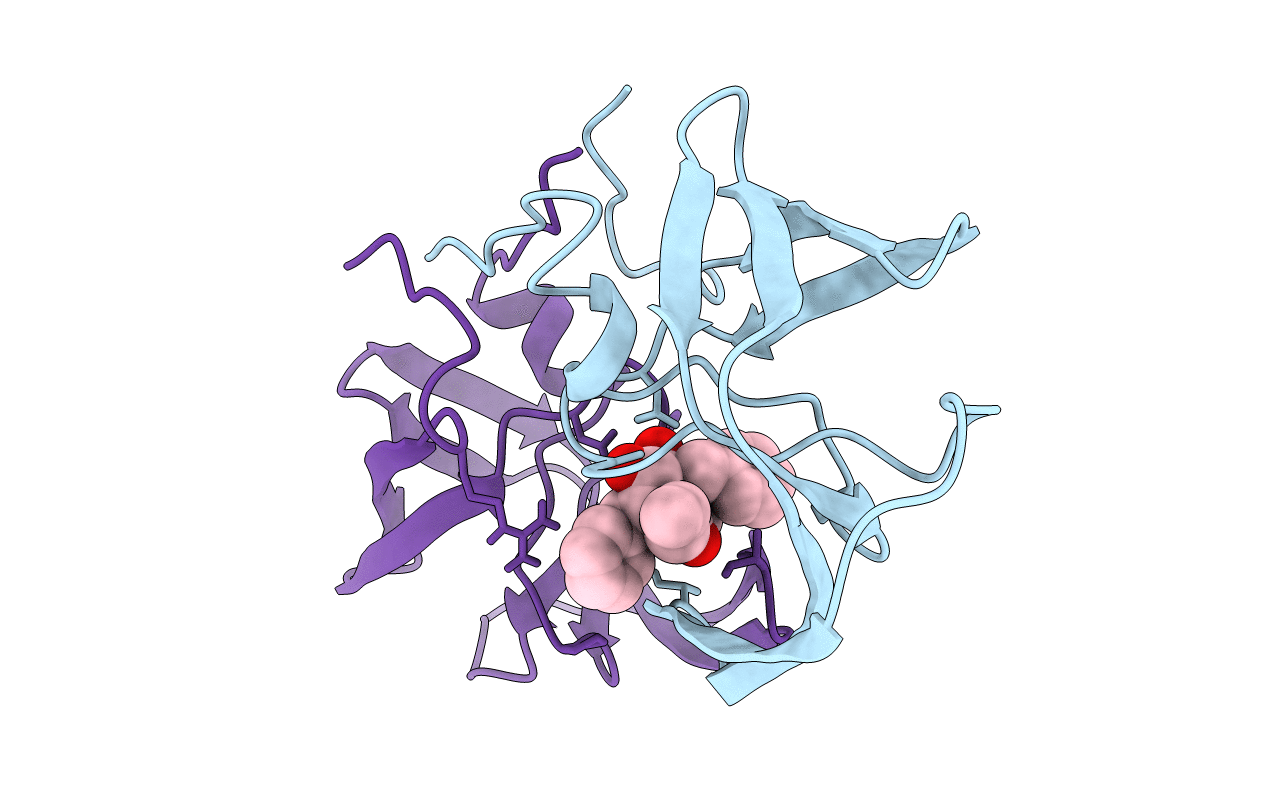 1HWR image