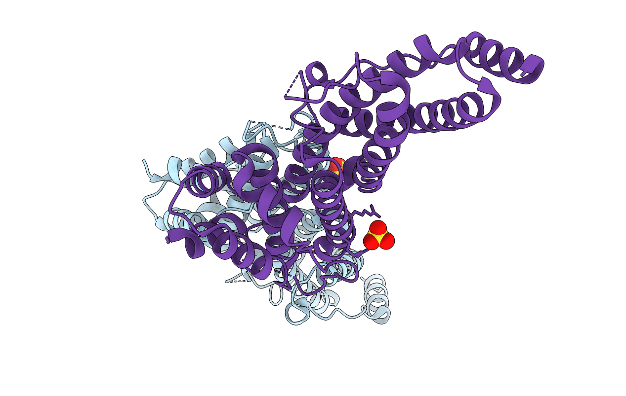 1HX8 image