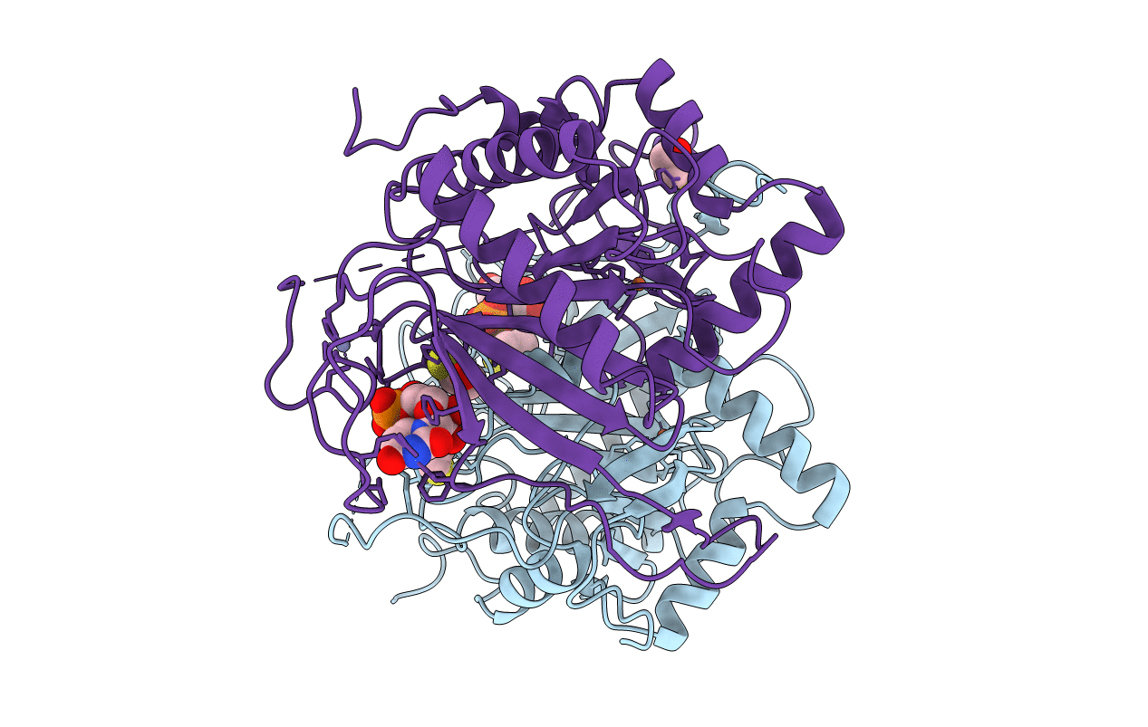1HXP image