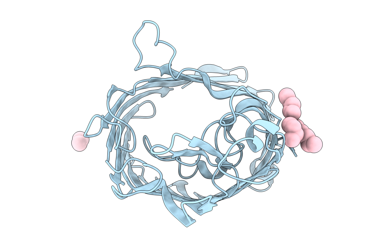 1HXX image
