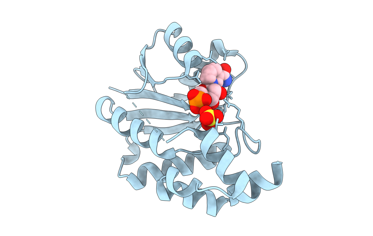 1HYB image