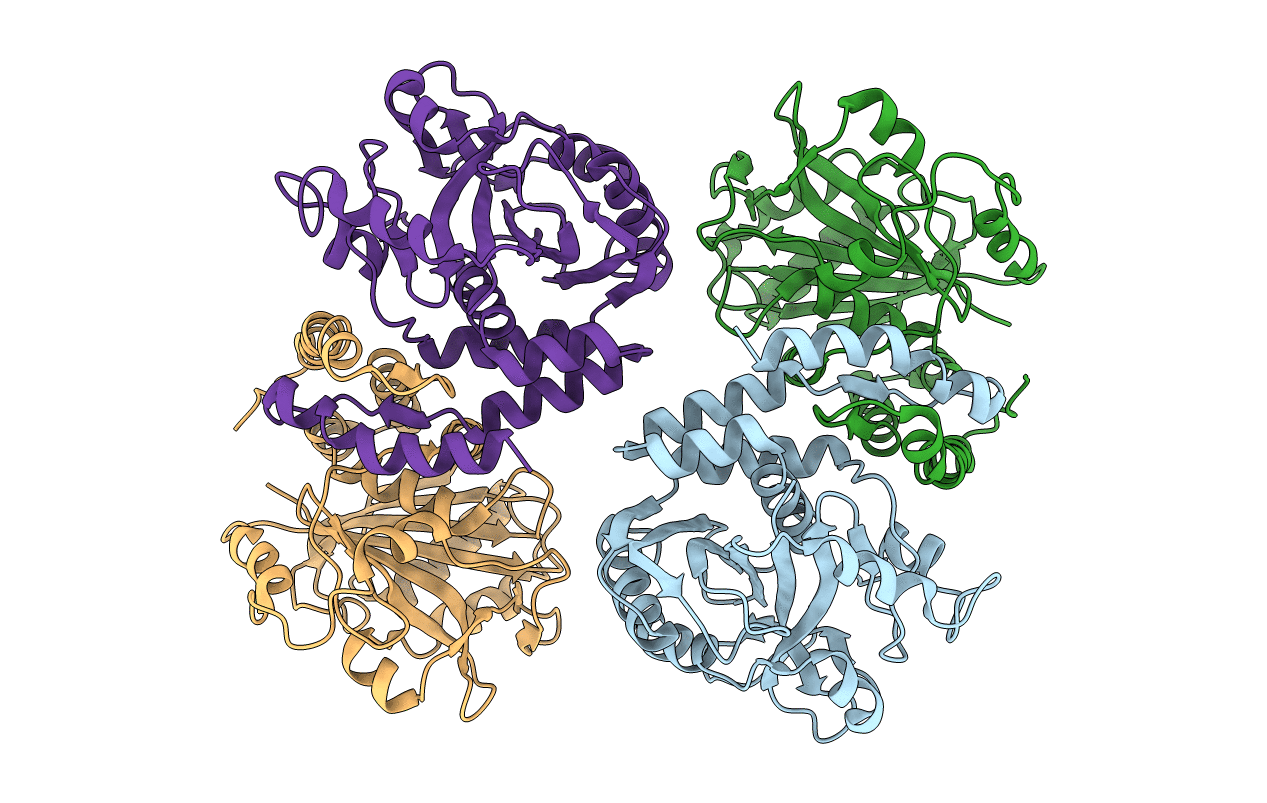 1HYN image