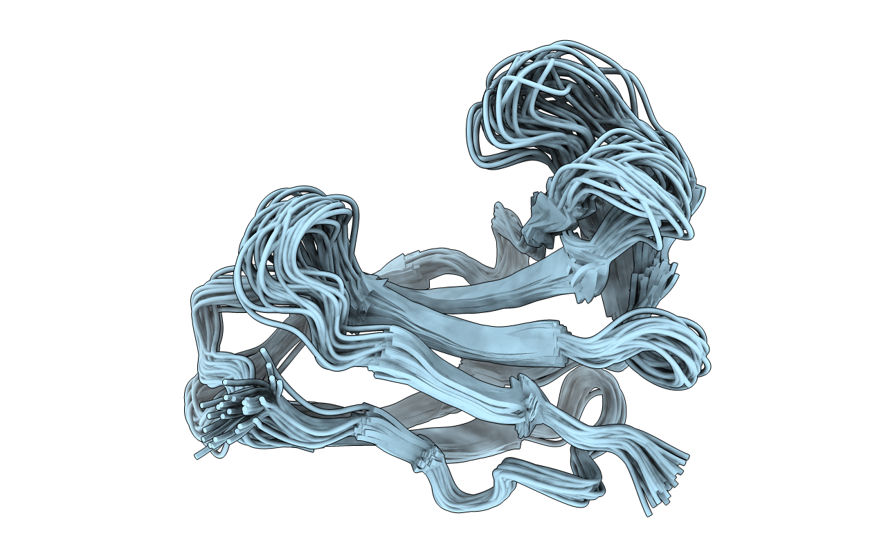 1HZK image