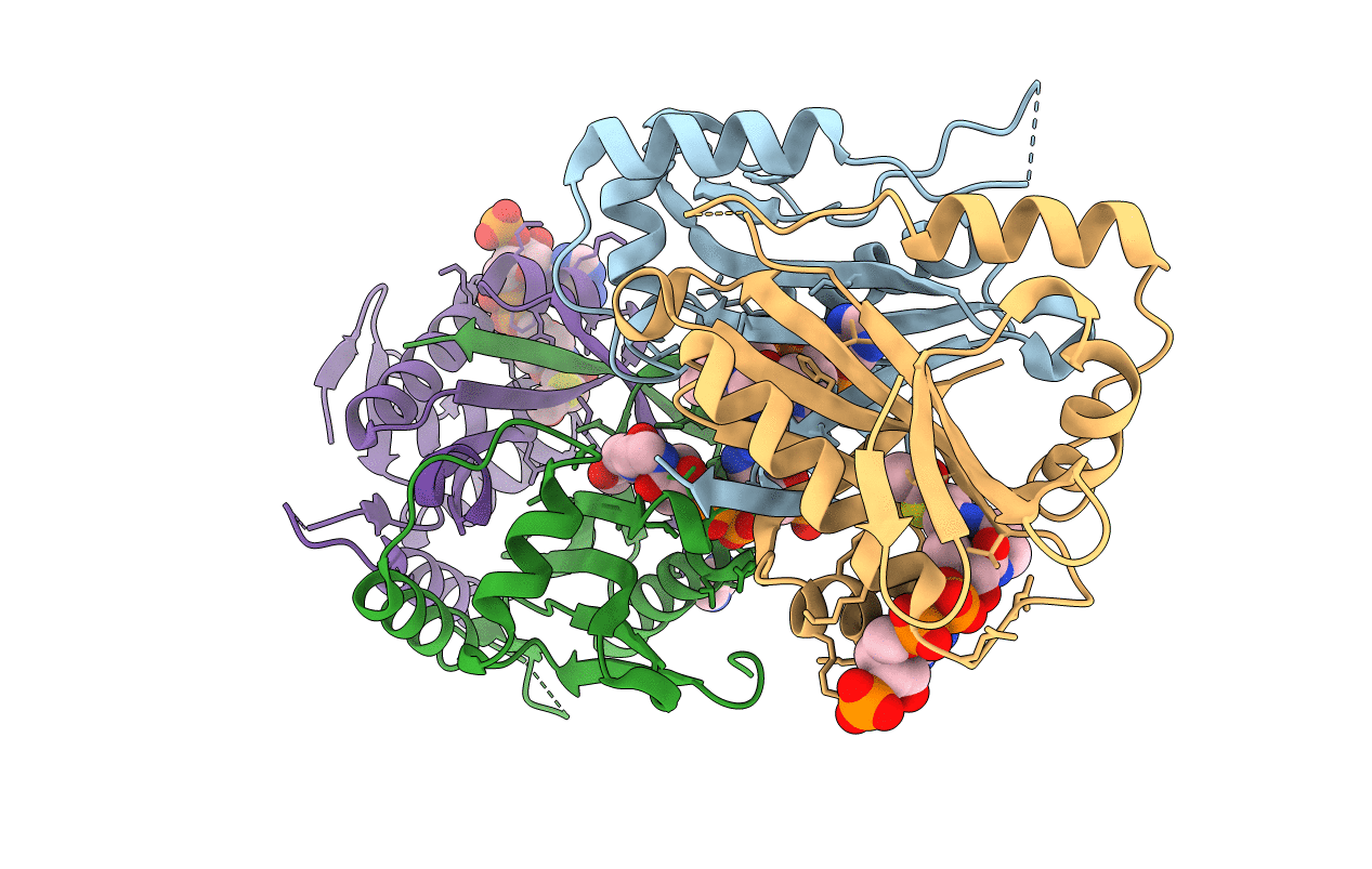 1I12 image