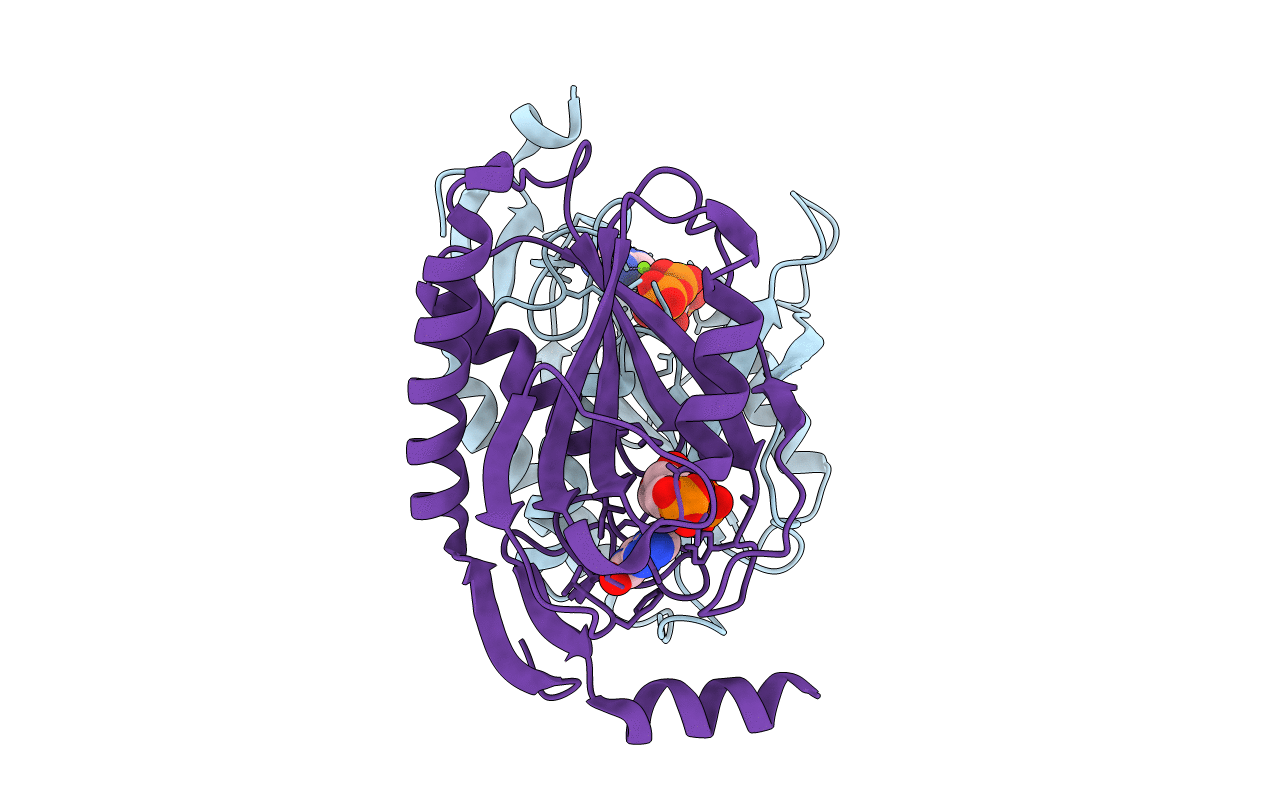 1I14 image