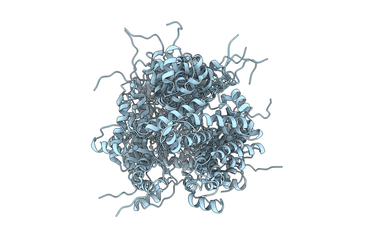 1I17 image