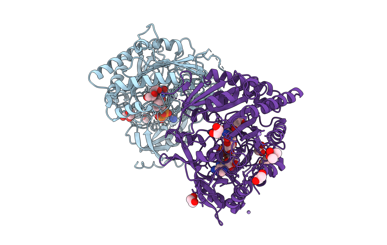 1I19 image