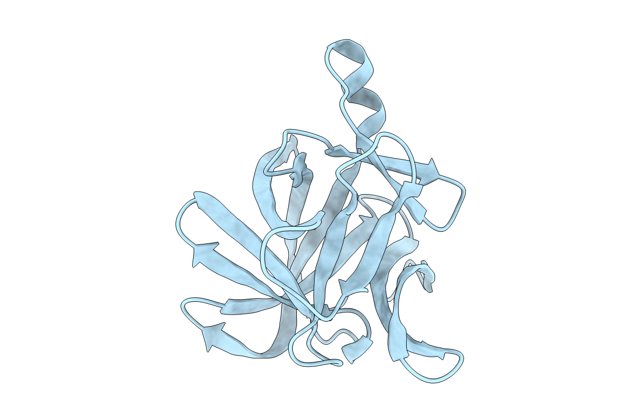 1I1B image
