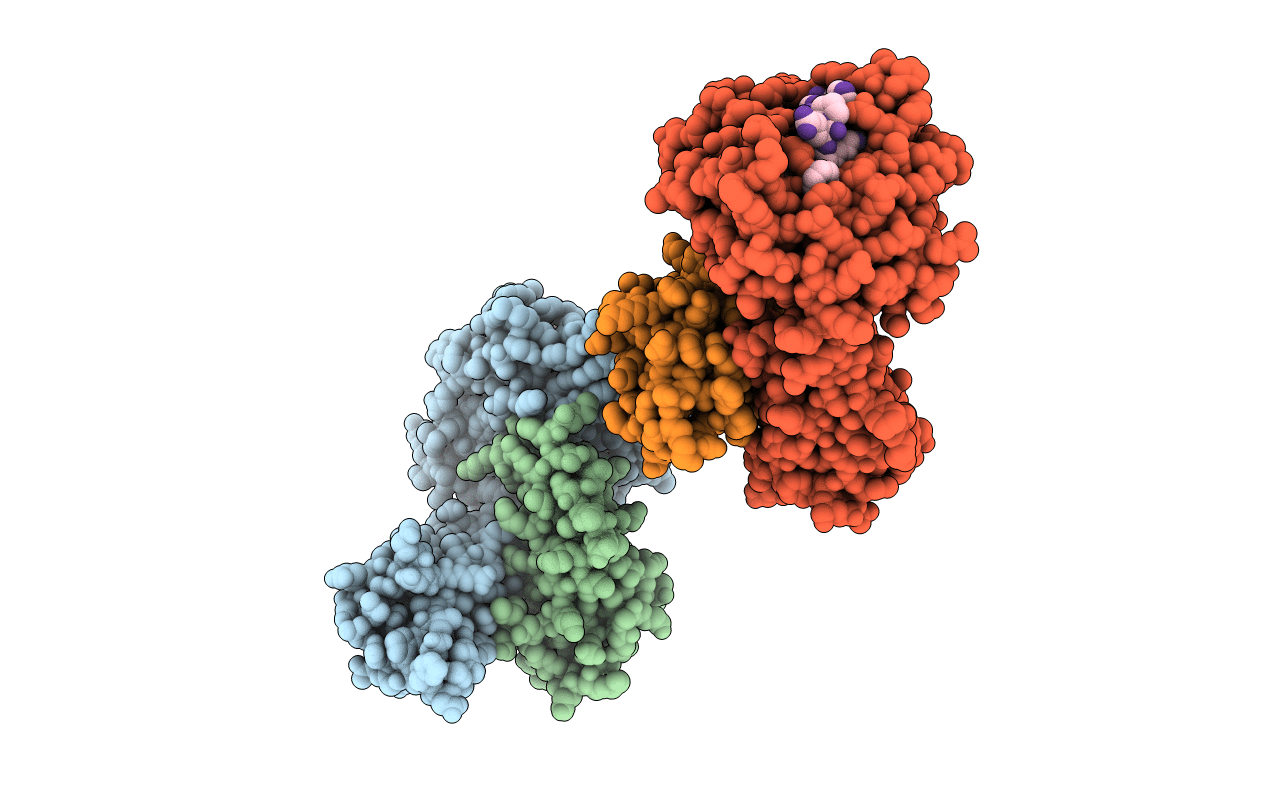 1I1F image