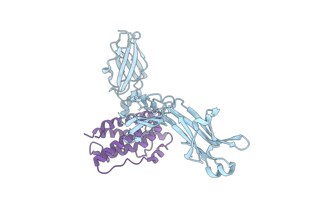 1I1R image