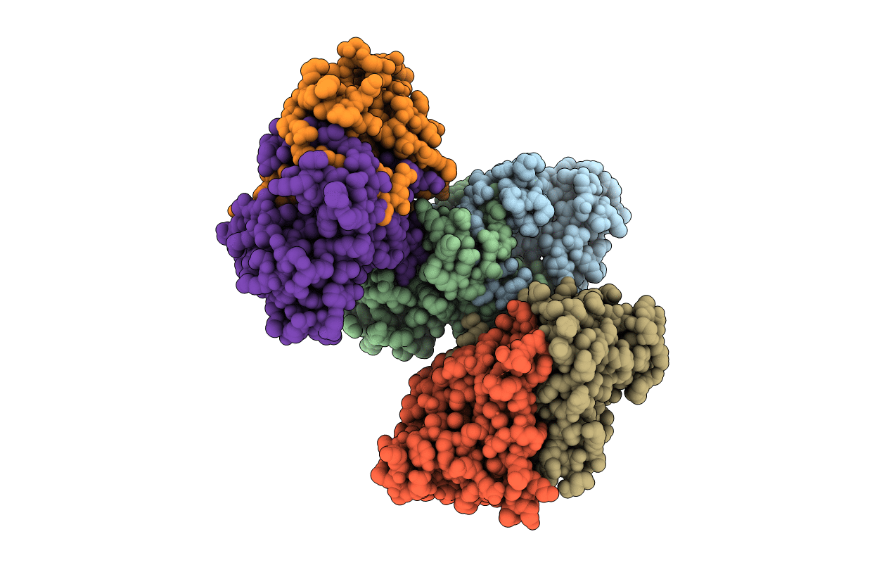 1I21 image