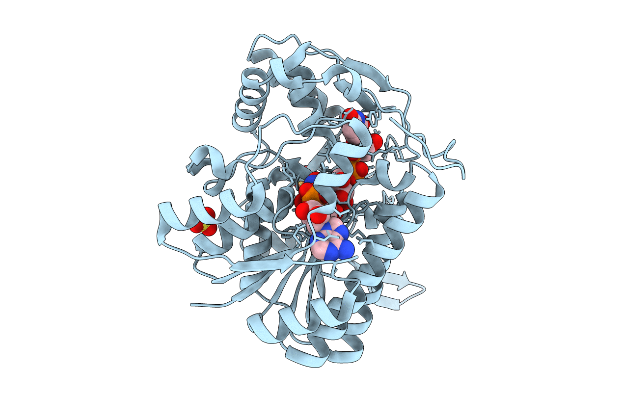 1I24 image