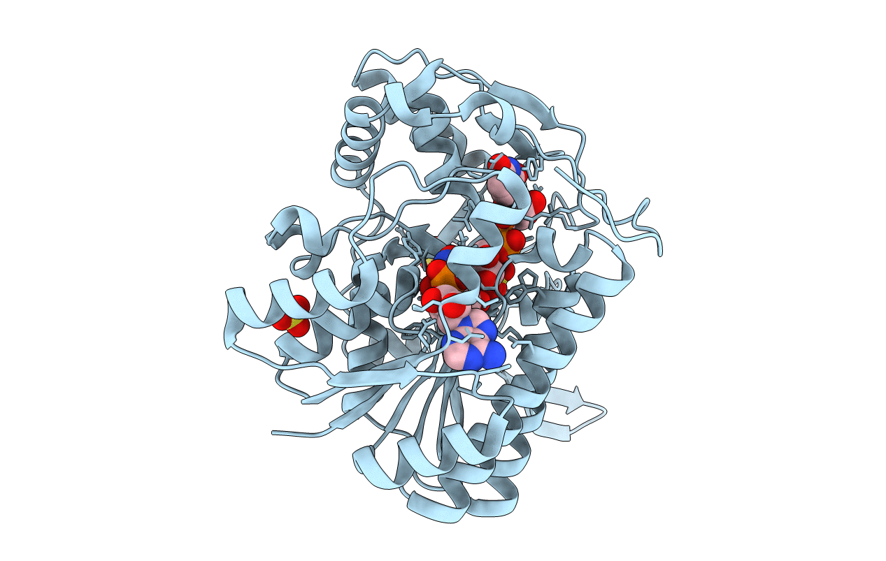 1I2B image