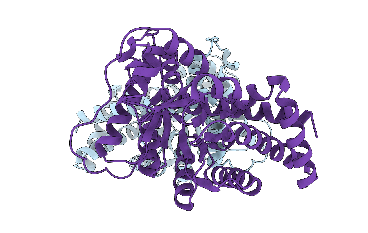 1I2R image