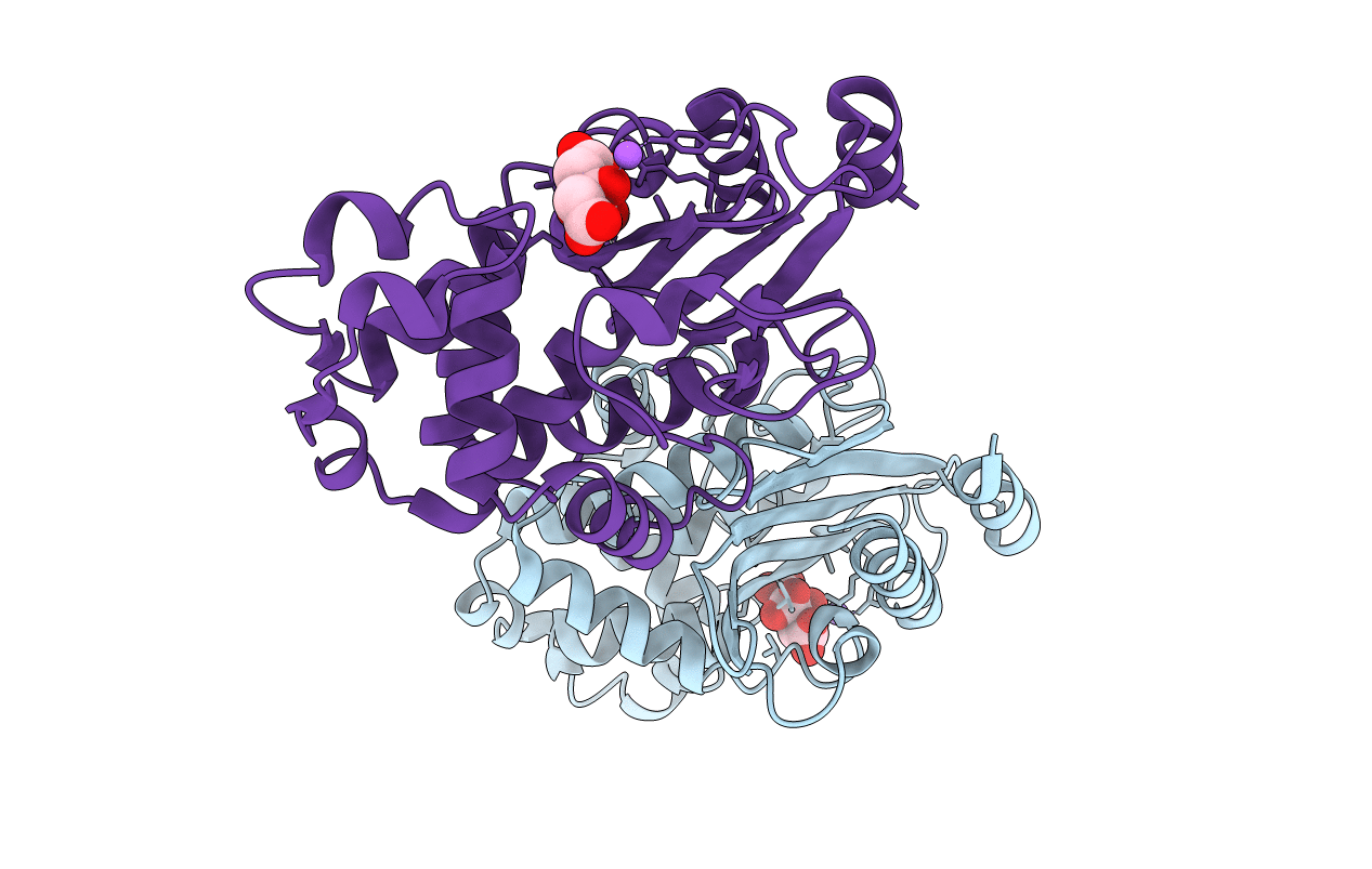 1I2S image