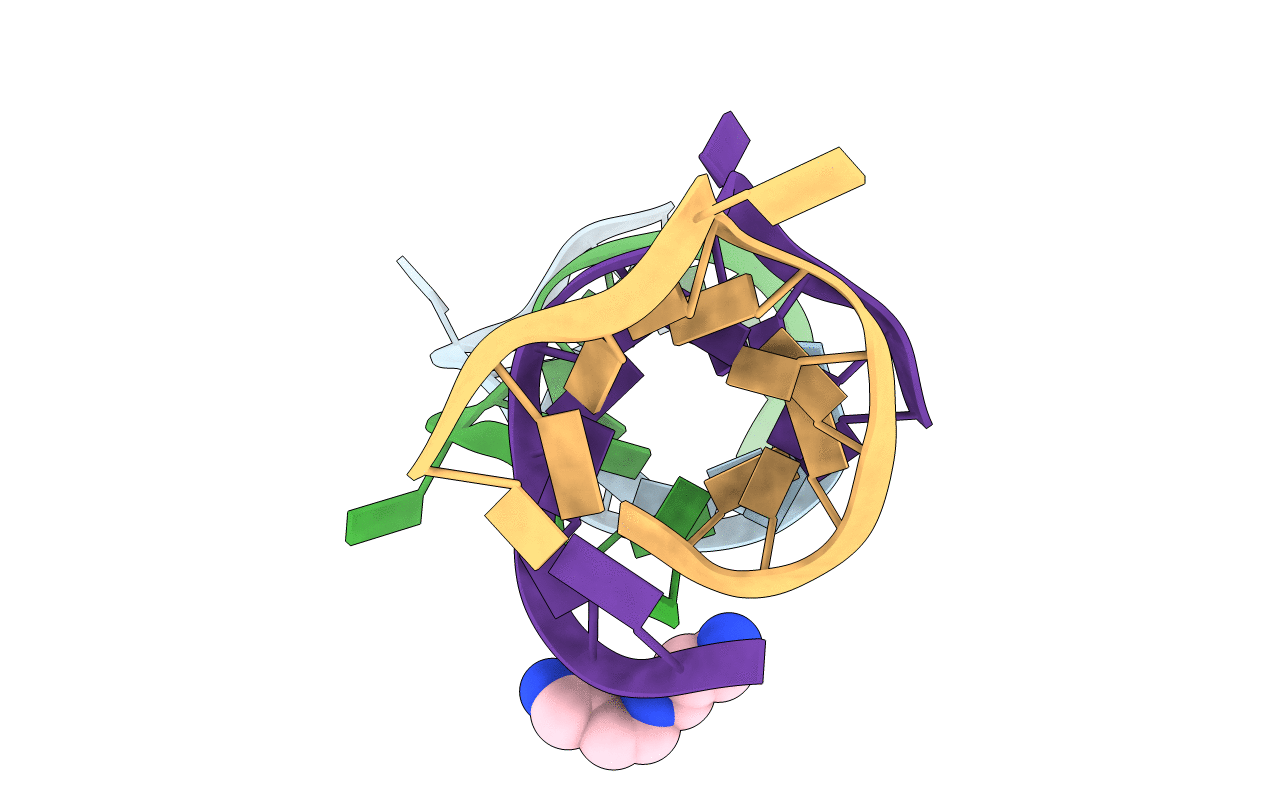1I2X image