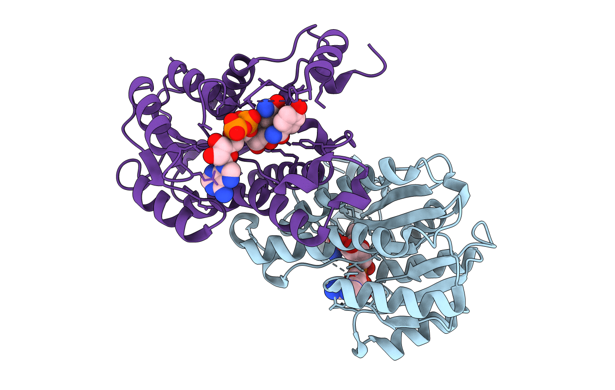 1I30 image