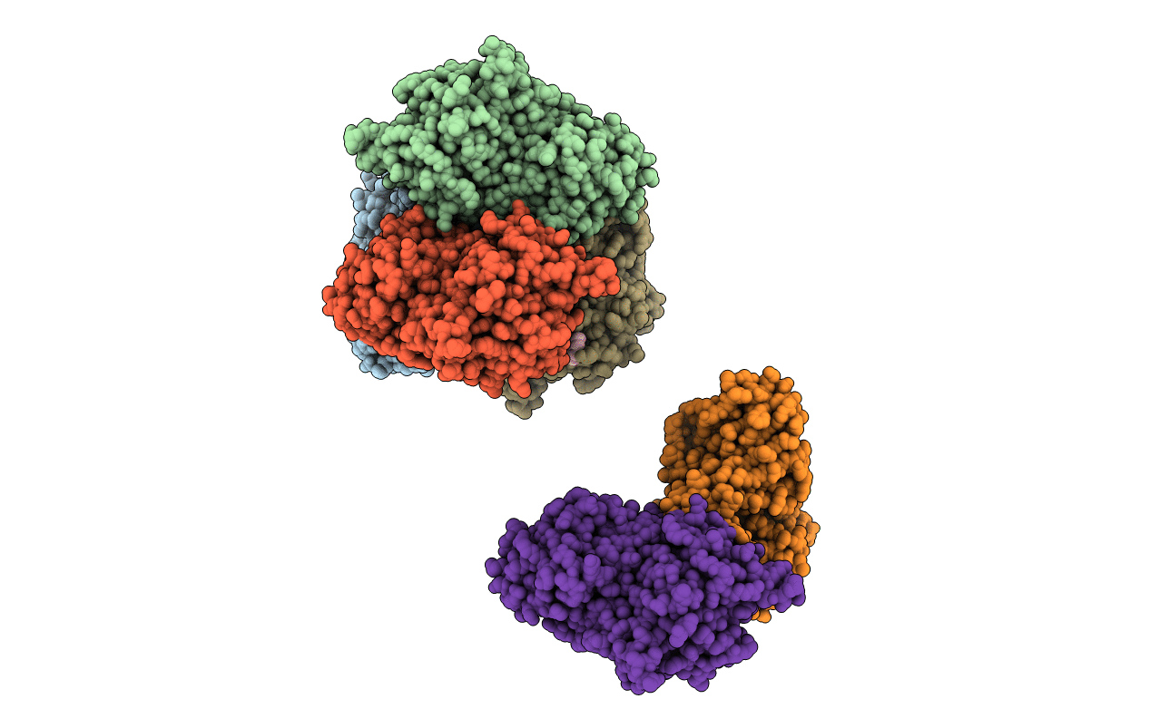1I33 image