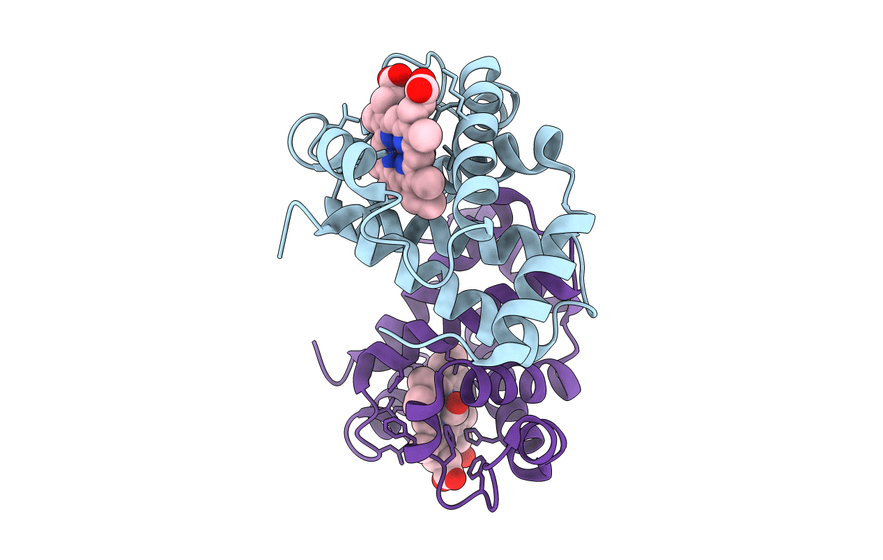 1I3D image