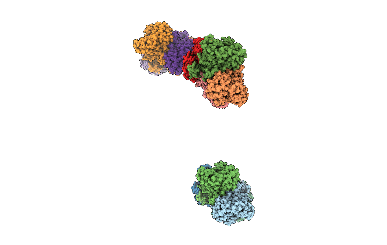 1I41 image