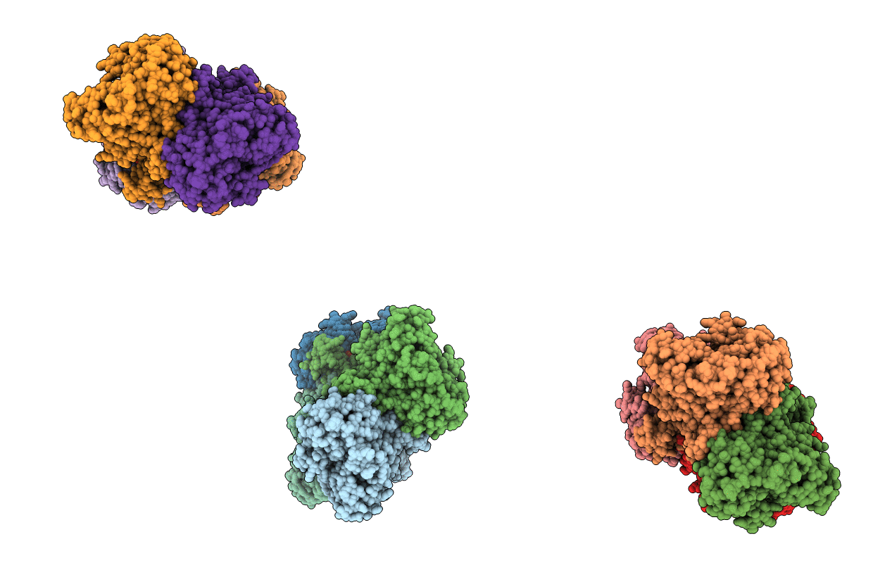 1I43 image