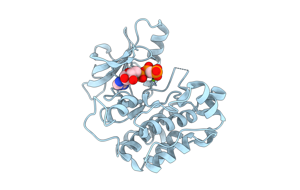 1I44 image