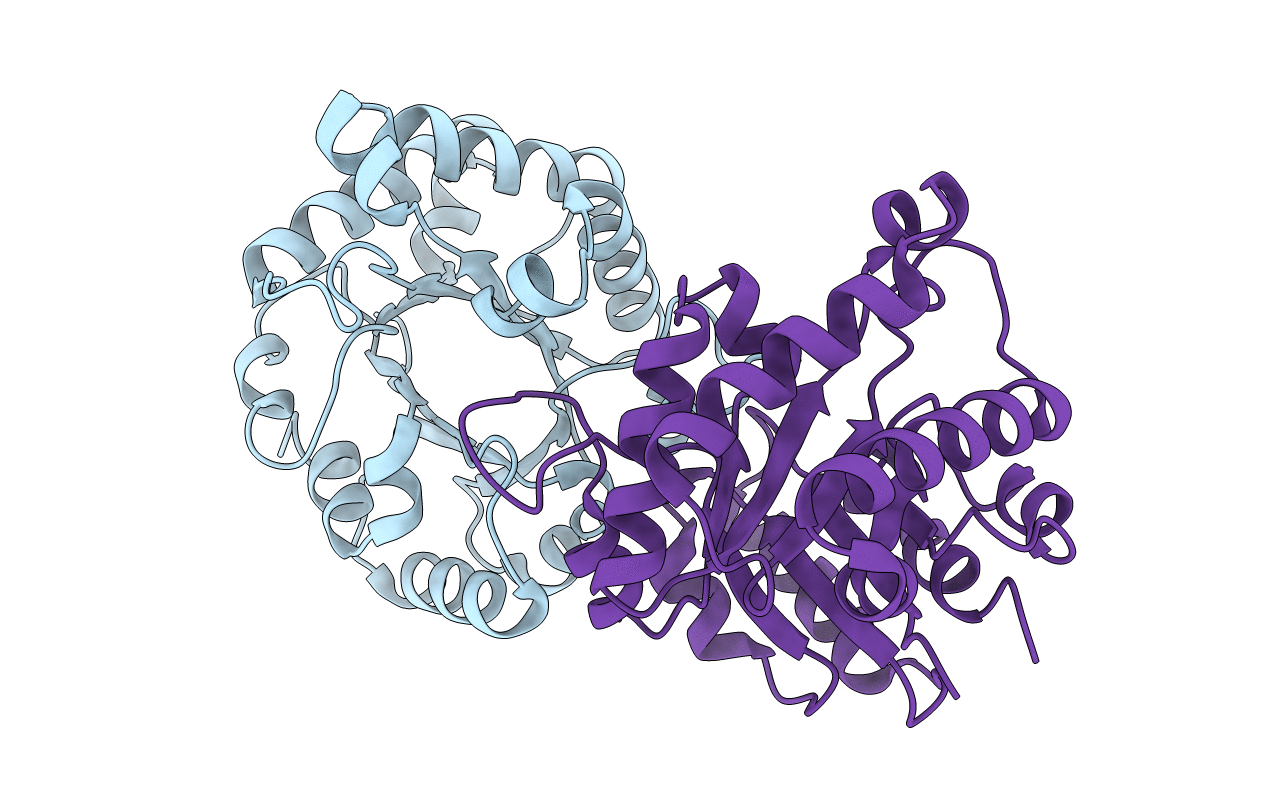 1I45 image