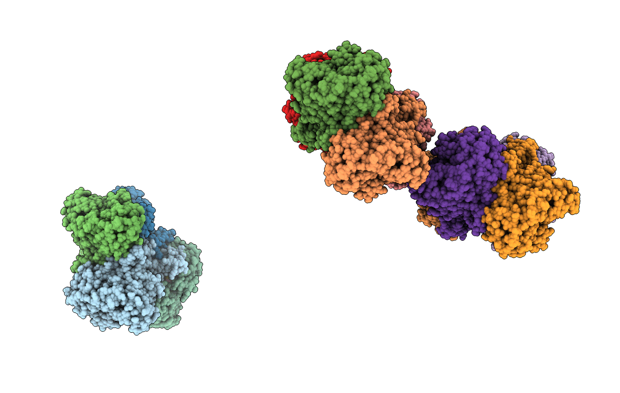 1I48 image