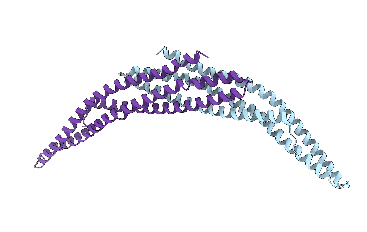 1I49 image