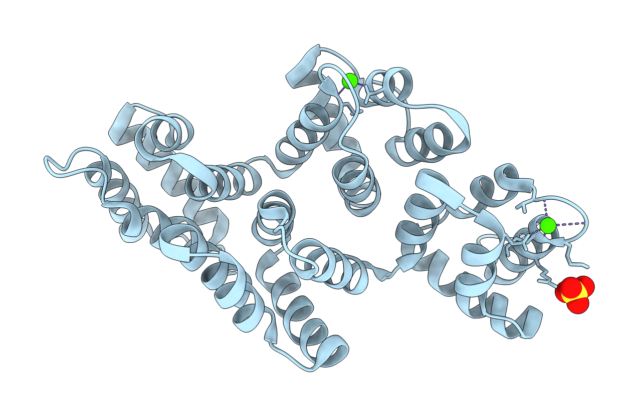 1I4A image