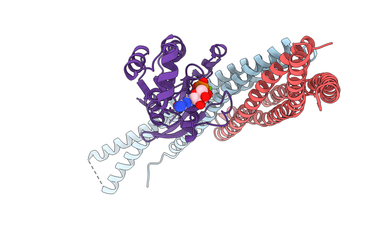 1I4D image