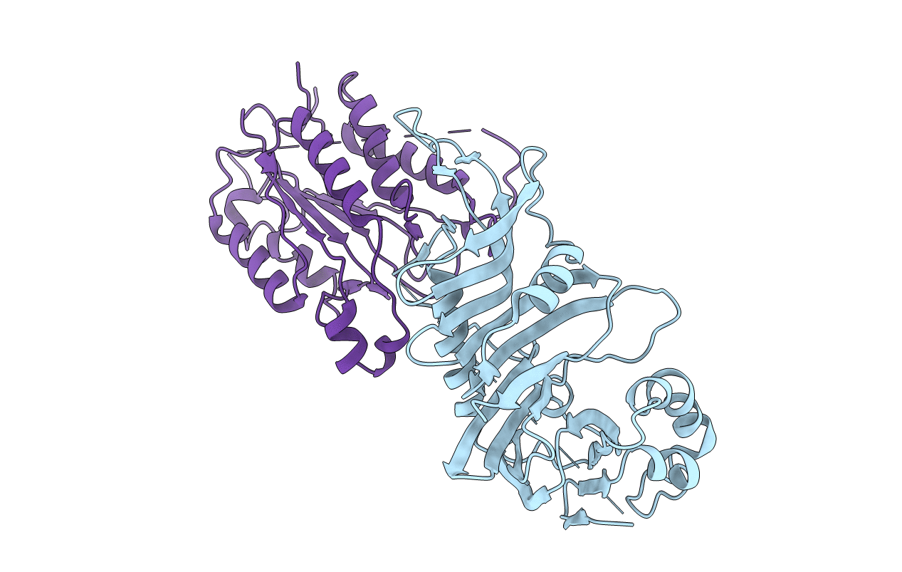 1I4E image